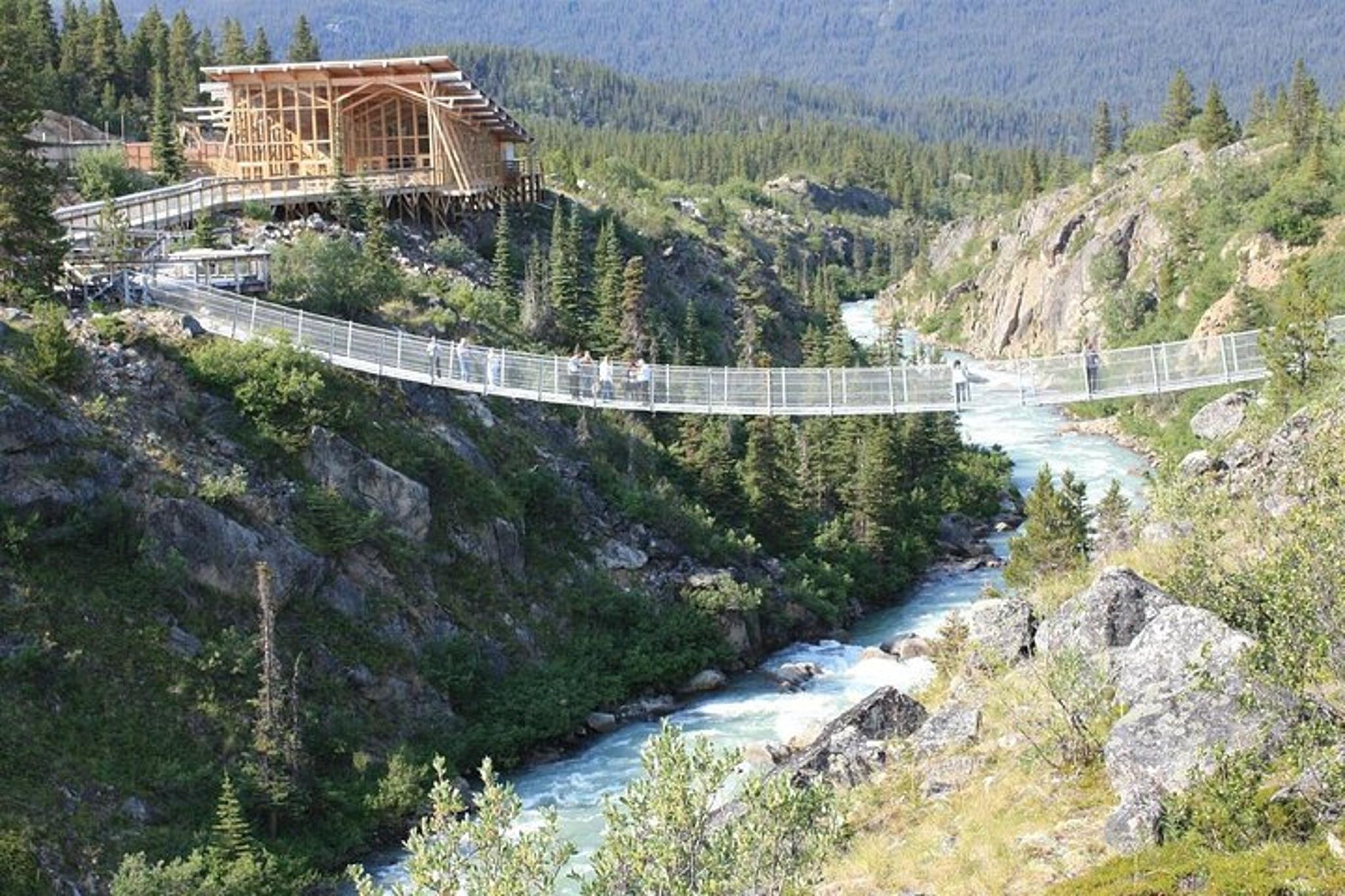 Skagway Yukon Suspension Bridge Tour 3.5 hr - Image 2