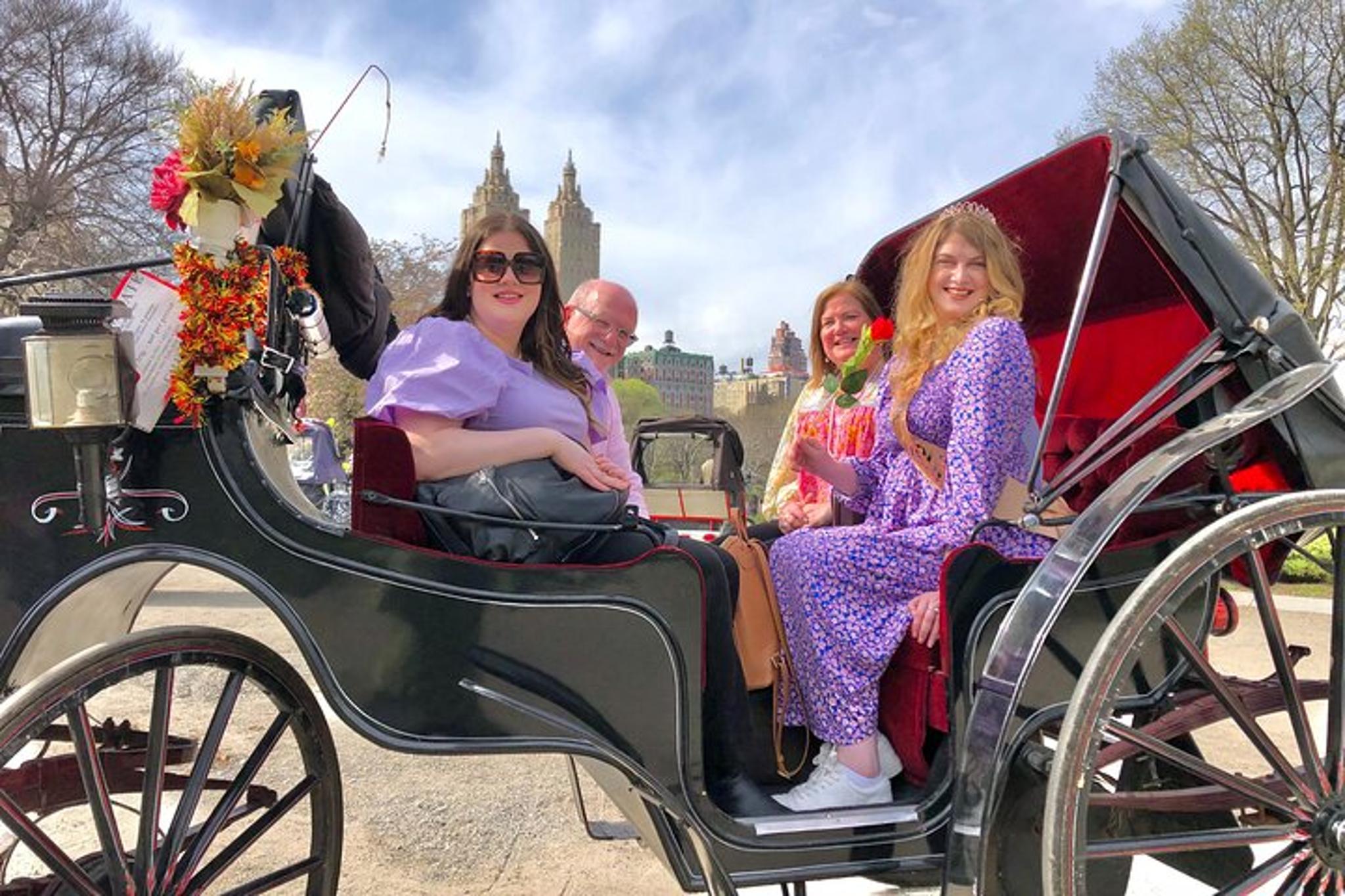 New York Central Park Carriage Tour 50 Min - Image 5