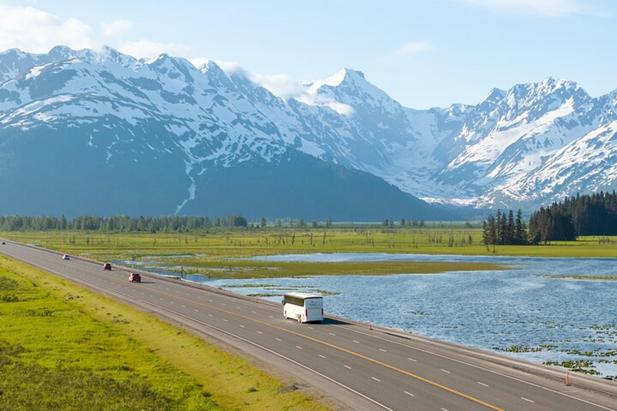 Seward to Anchorage Wildlife Tour - Image 4