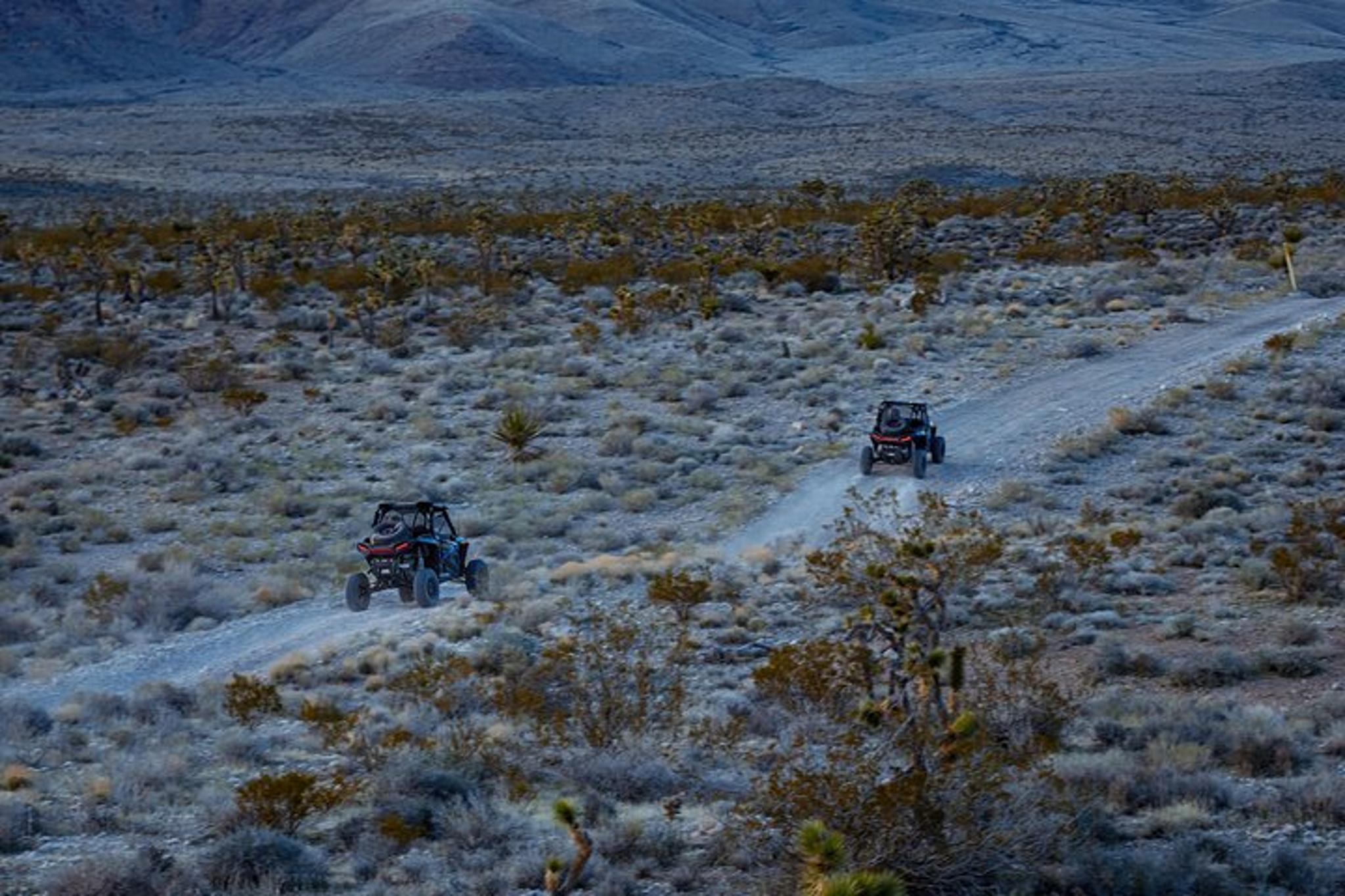 Las Vegas Off-Road Starlight RZR Tour 3.5 hr - Image 2