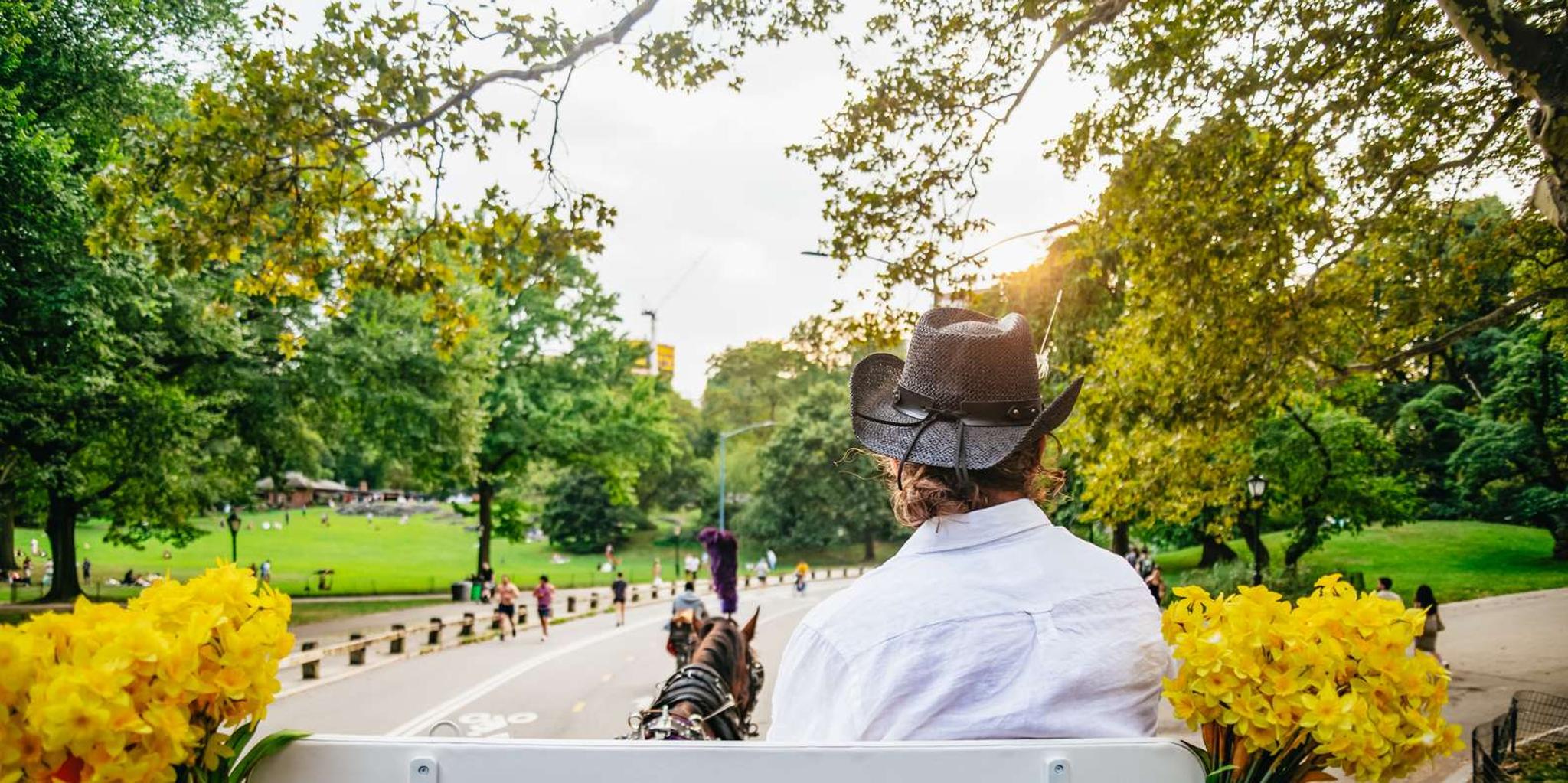 New York Central Park Horse Carriage Ride - Image 4