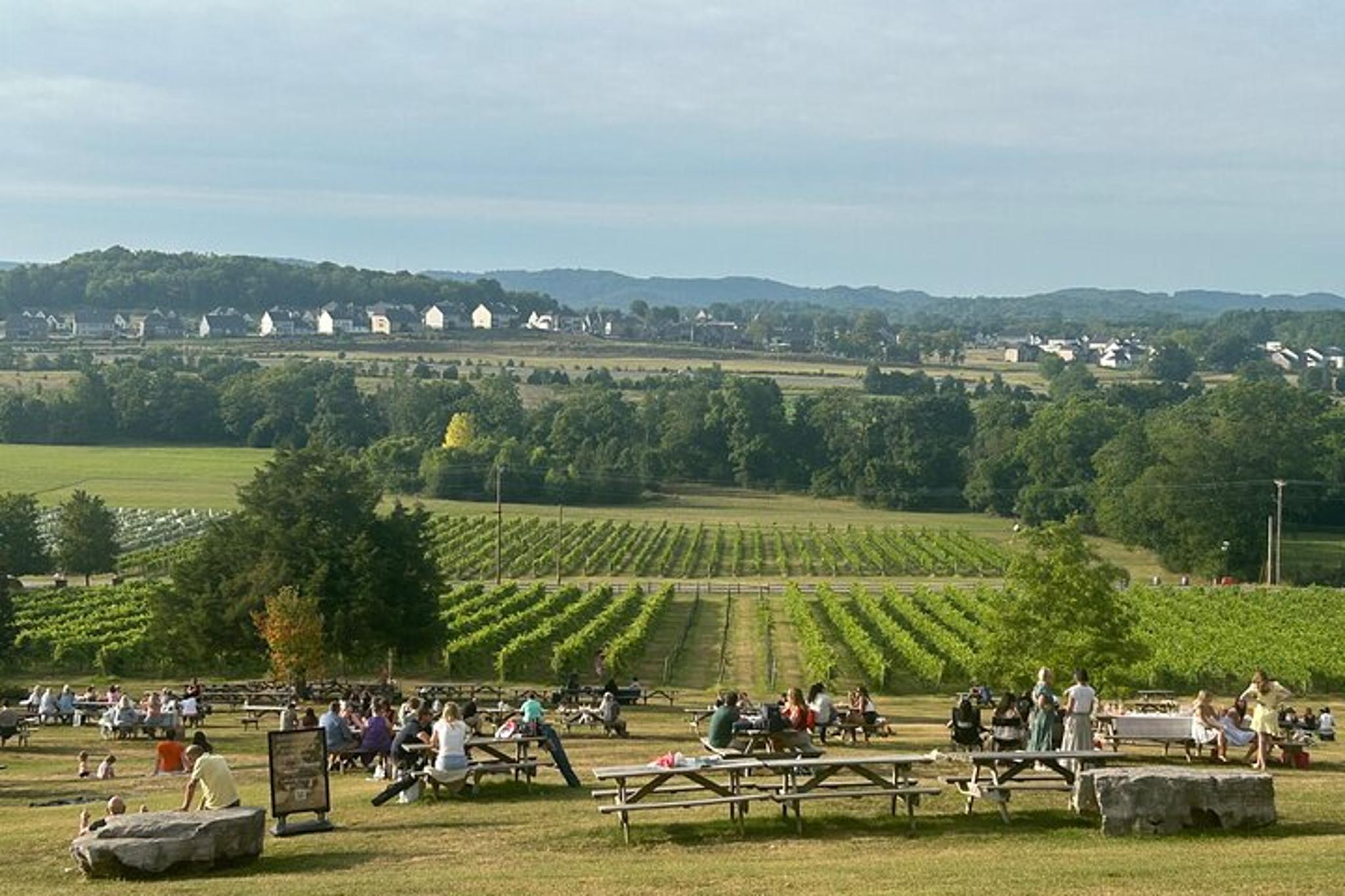 Nashville Wine and Dine Tour - Image 3