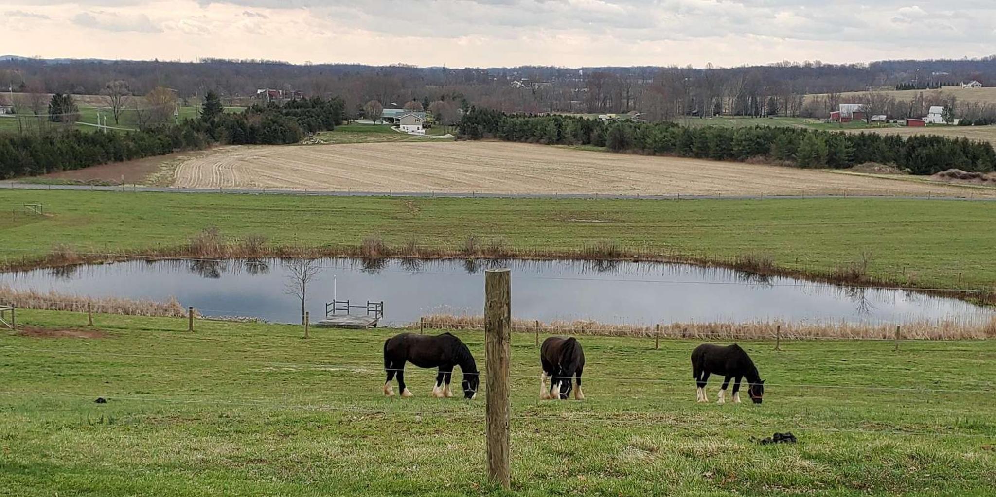 Gettysburg Horse-Drawn Carriage Tour Countryside - Image 2