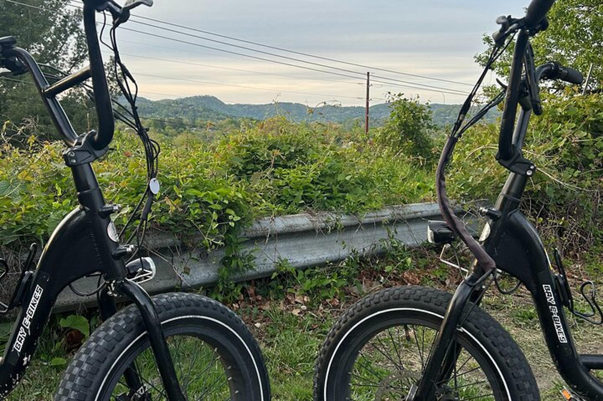 Asheville Electric Bike Rentals - Image 2