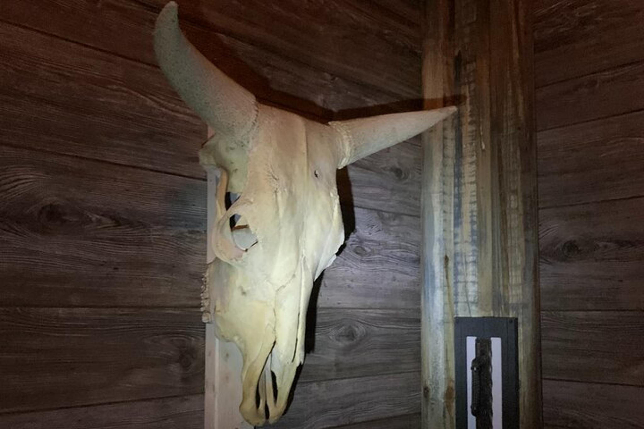 Miami Escape Game: Odin's Hidden Temple - Image 4