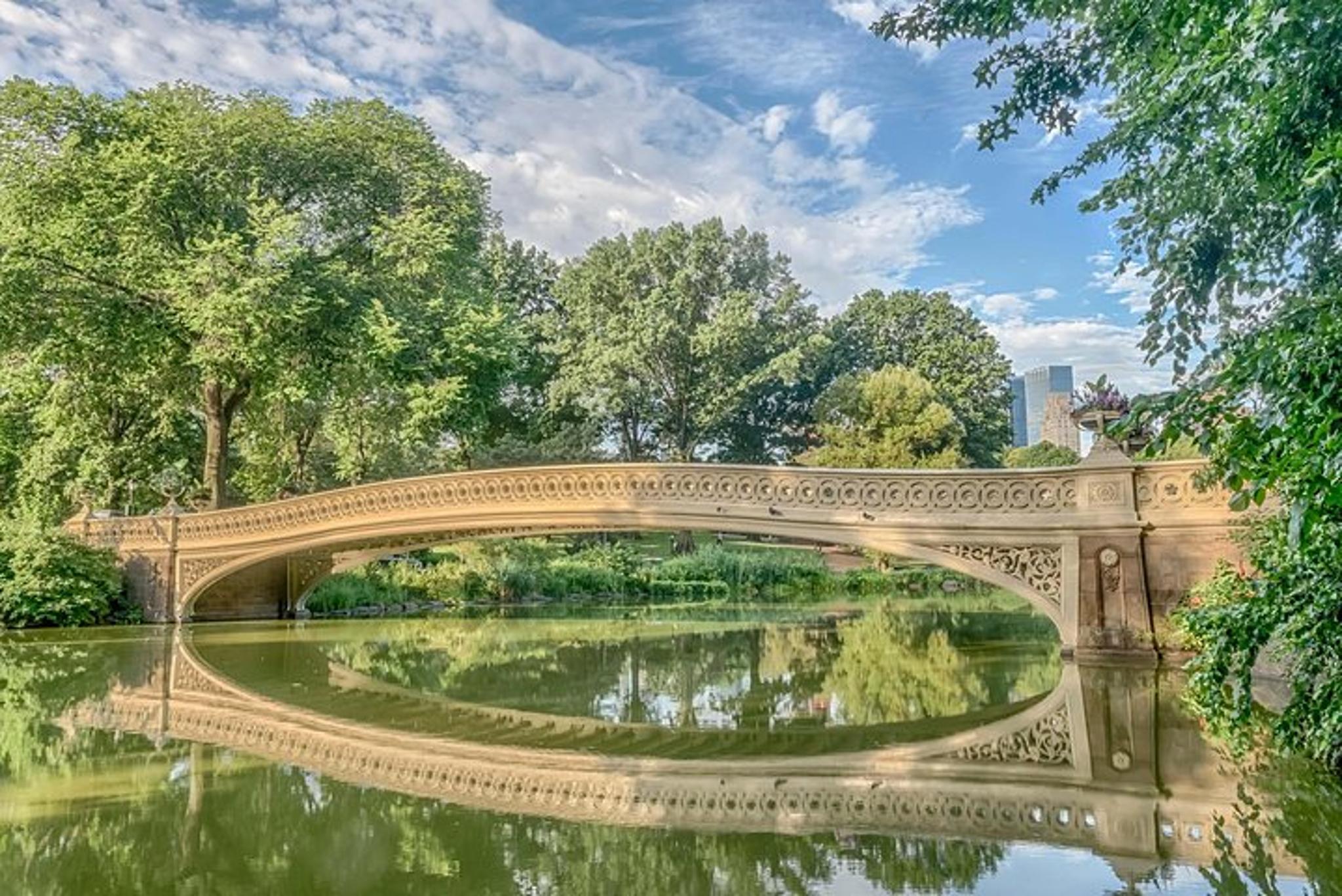 New York Central Park Pedicab Tour - Image 2