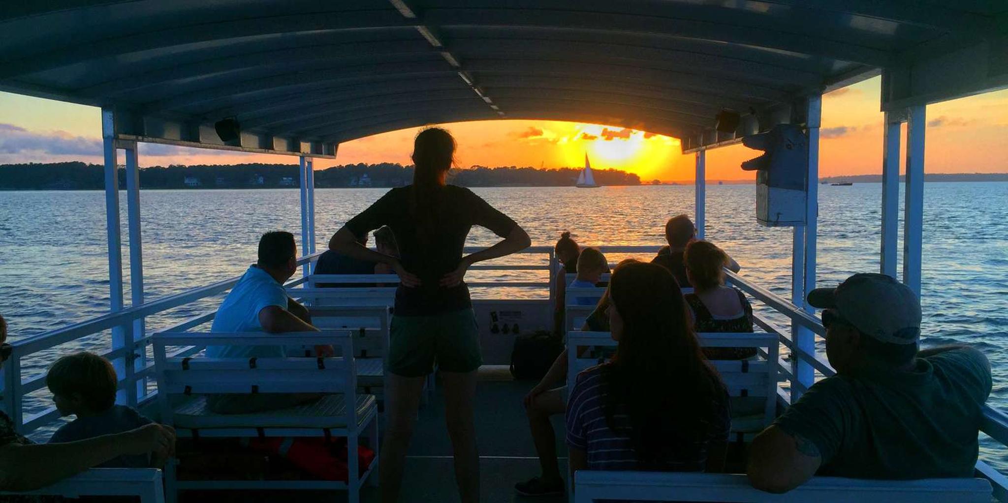 Hilton Head Dolphin Tour with Sunset & Fireworks - Image 5