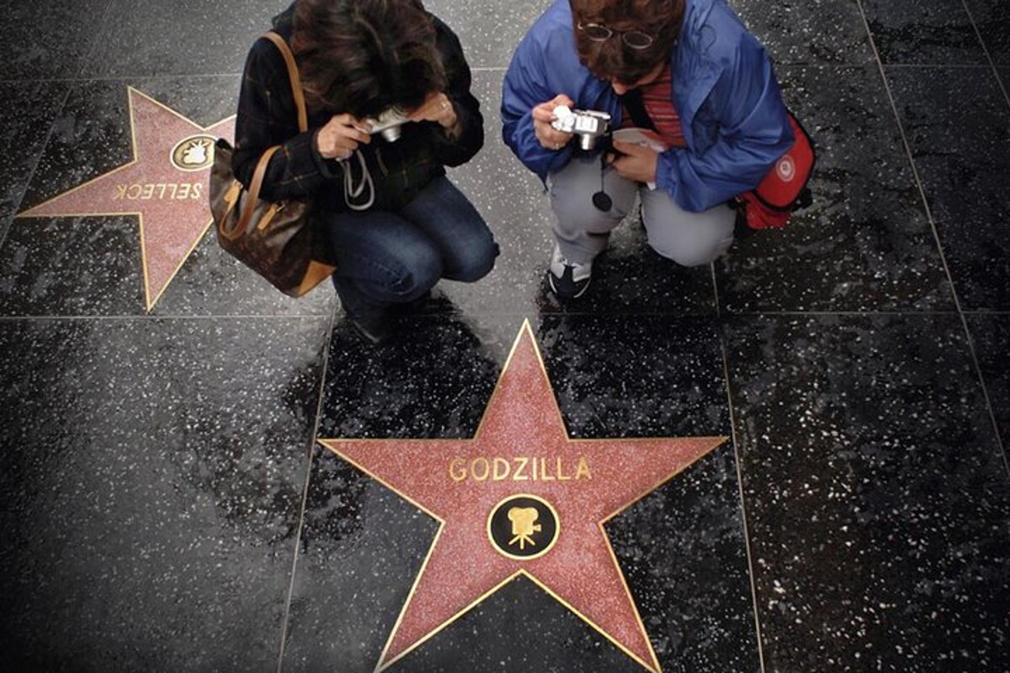 Los Angeles Private Customizable Tour 5 hr - Image 2