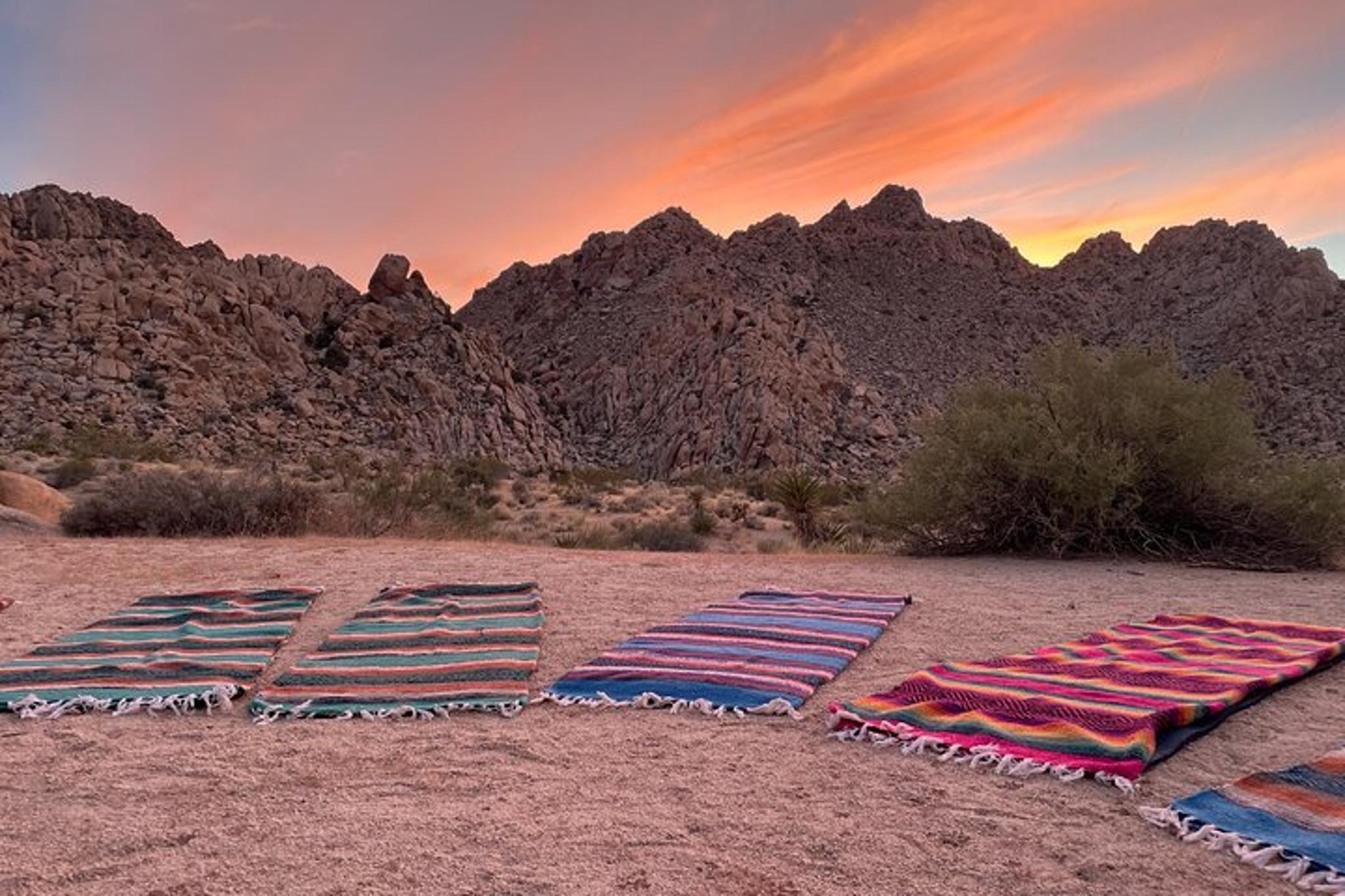 Joshua Tree Soundbath Under the Stars - Image 5