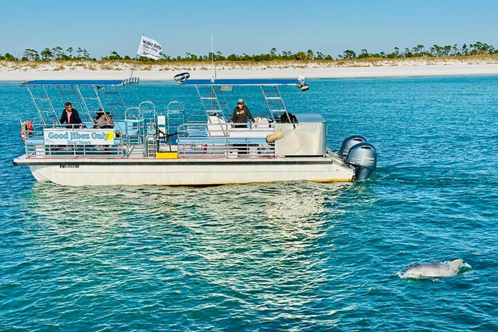 Panama City Beach Dolphin Sightseeing Boat Tour - Image 5