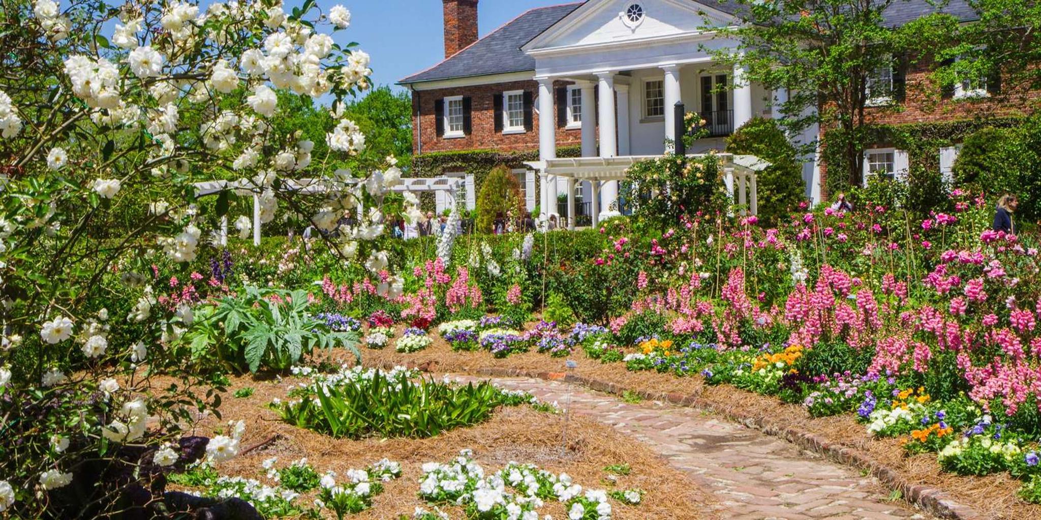 Charleston Boone Hall Plantation Tour 4.5 hr - Image 4