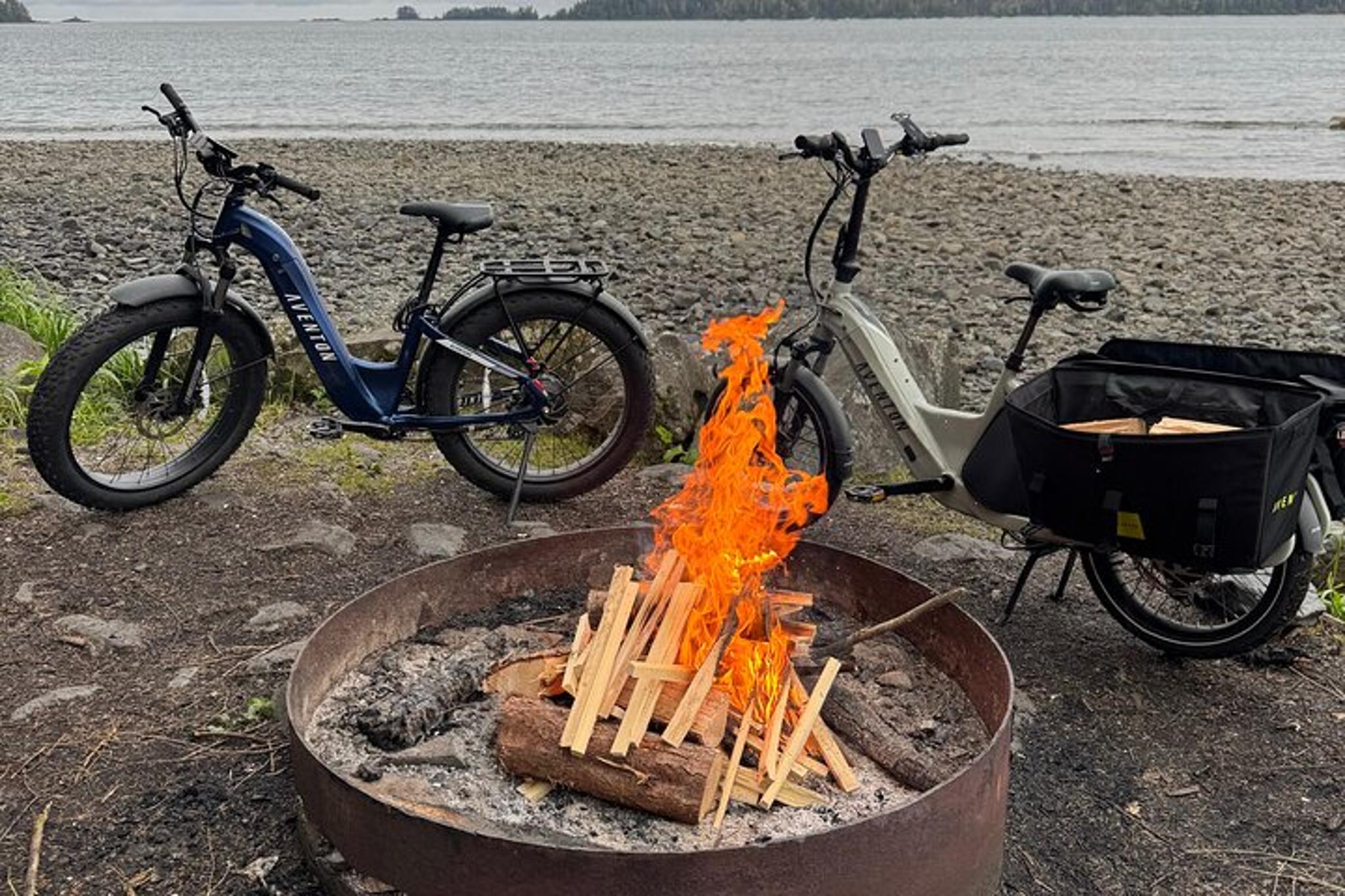Sitka Cargo eBike Rental - Image 4