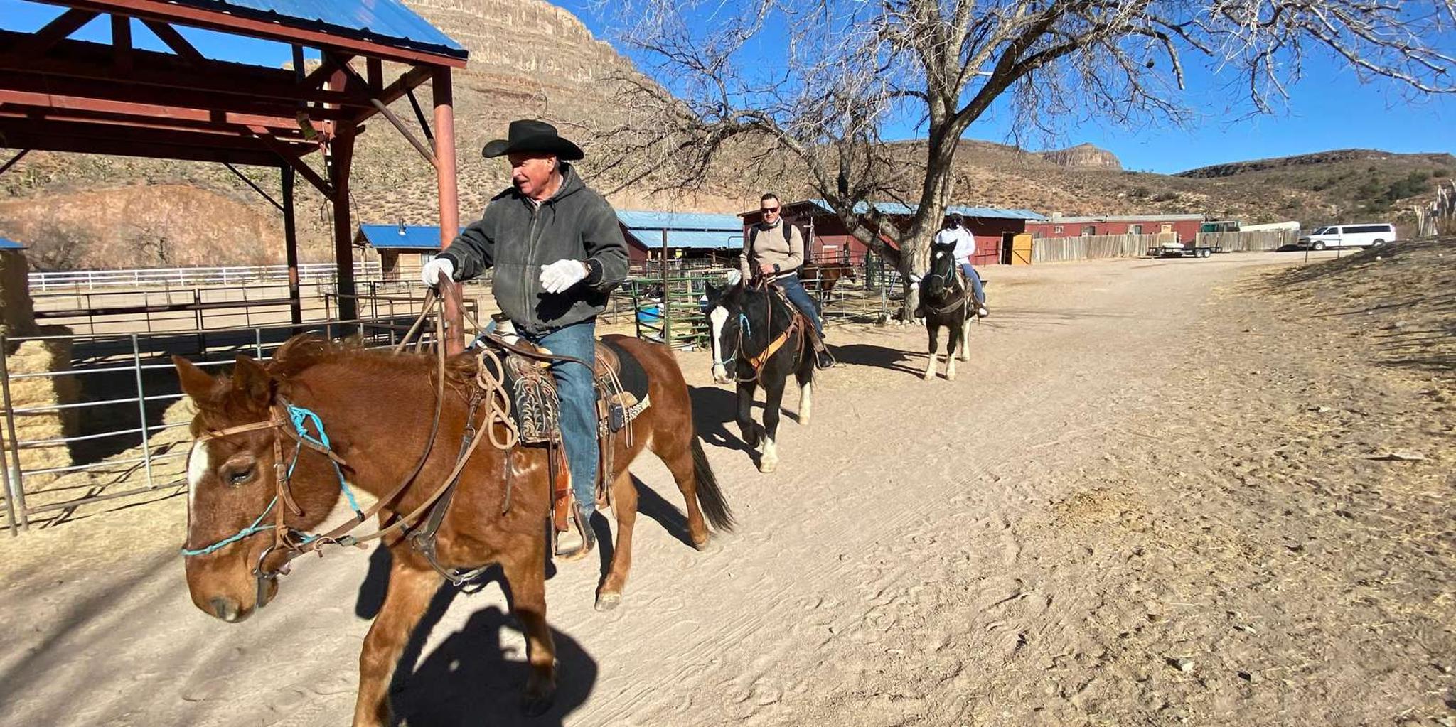 Las Vegas Horseback Ride in Joshua Tree Forest
