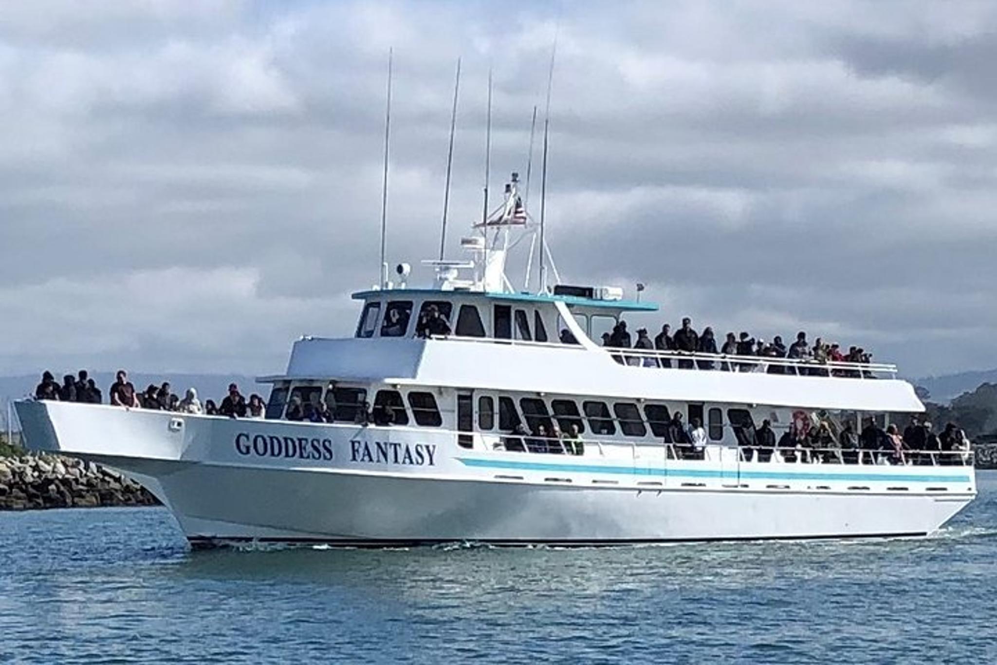Monterey Bay Whale Watching Tour - Image 3