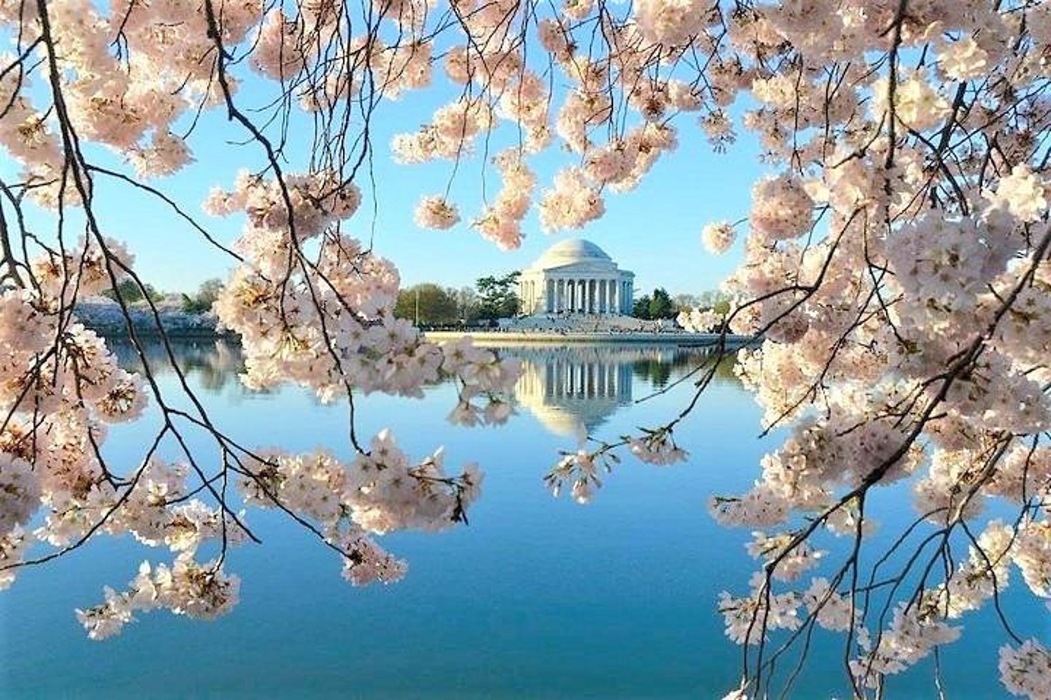 Washington DC Private City Tour - Image 3
