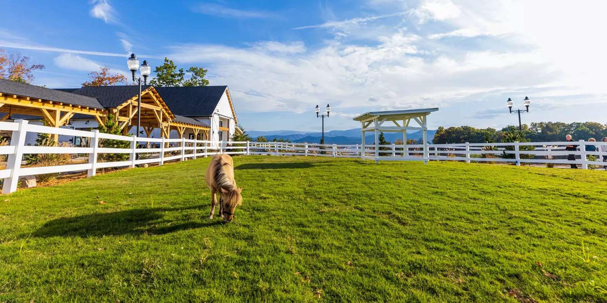 Pigeon Forge SkyLand Ranch Admission with Chairlift - Image 3