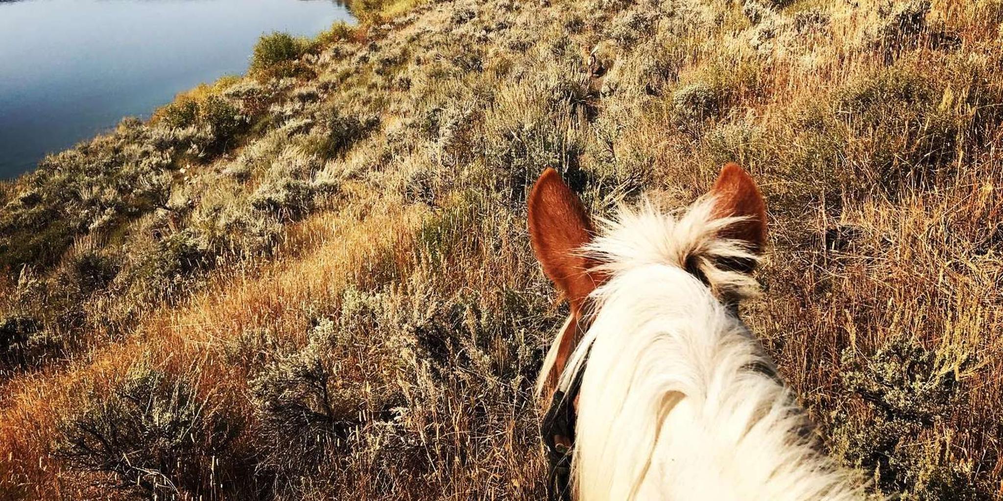 Jackson Hole Horseback Riding Adventure - Image 2