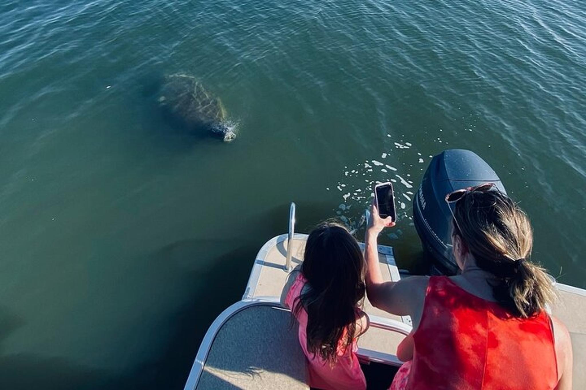 Cocoa Village Dolphin and Manatee Pontoon Tour - Image 3