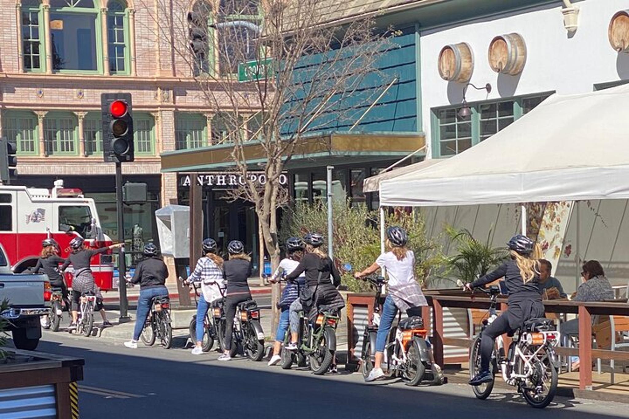 Napa E-Bike Rental with Picnic Lunch - Image 4