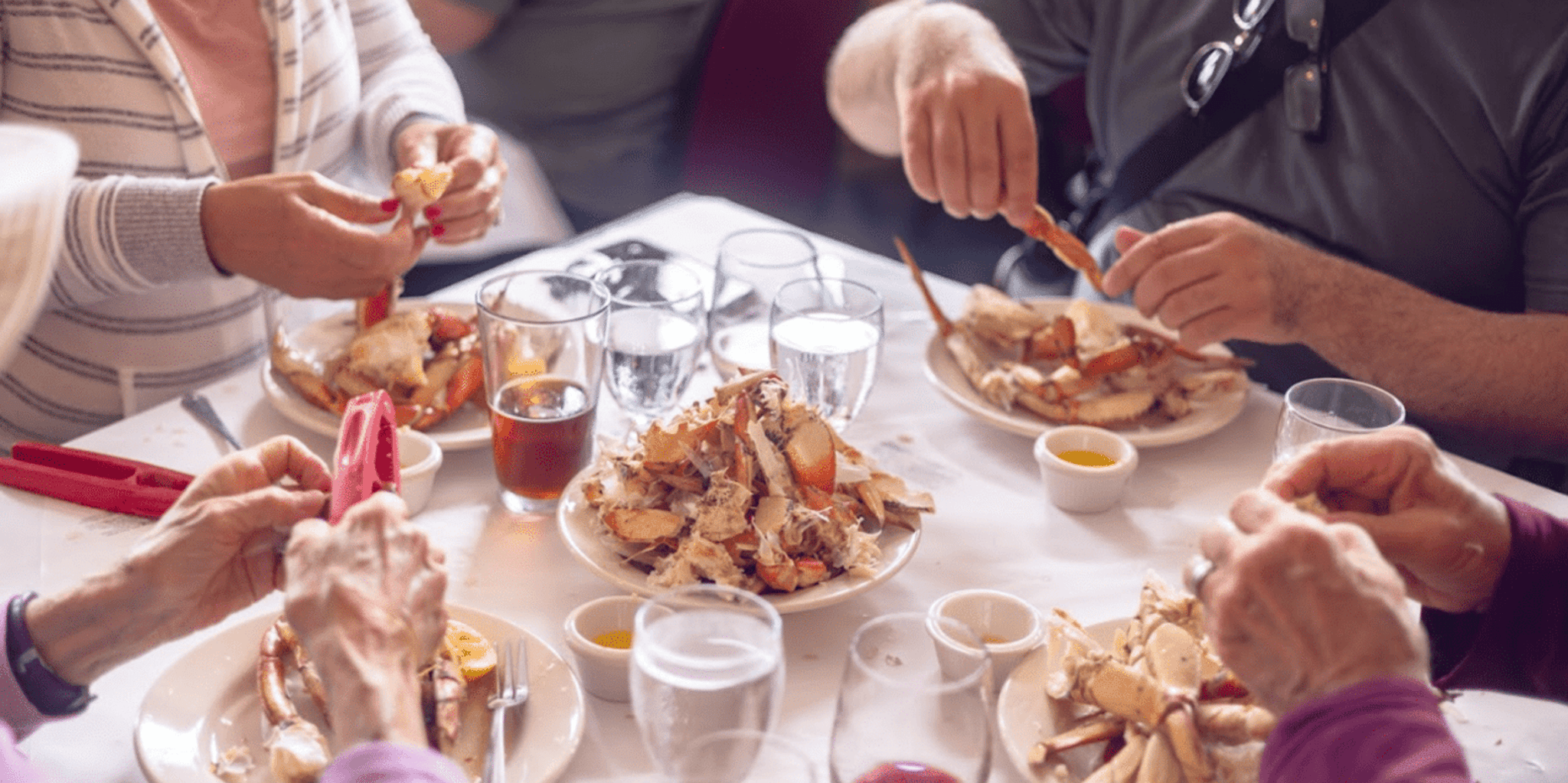 Ketchikan Wilderness Boat Cruise and Crab Feast - Image 4