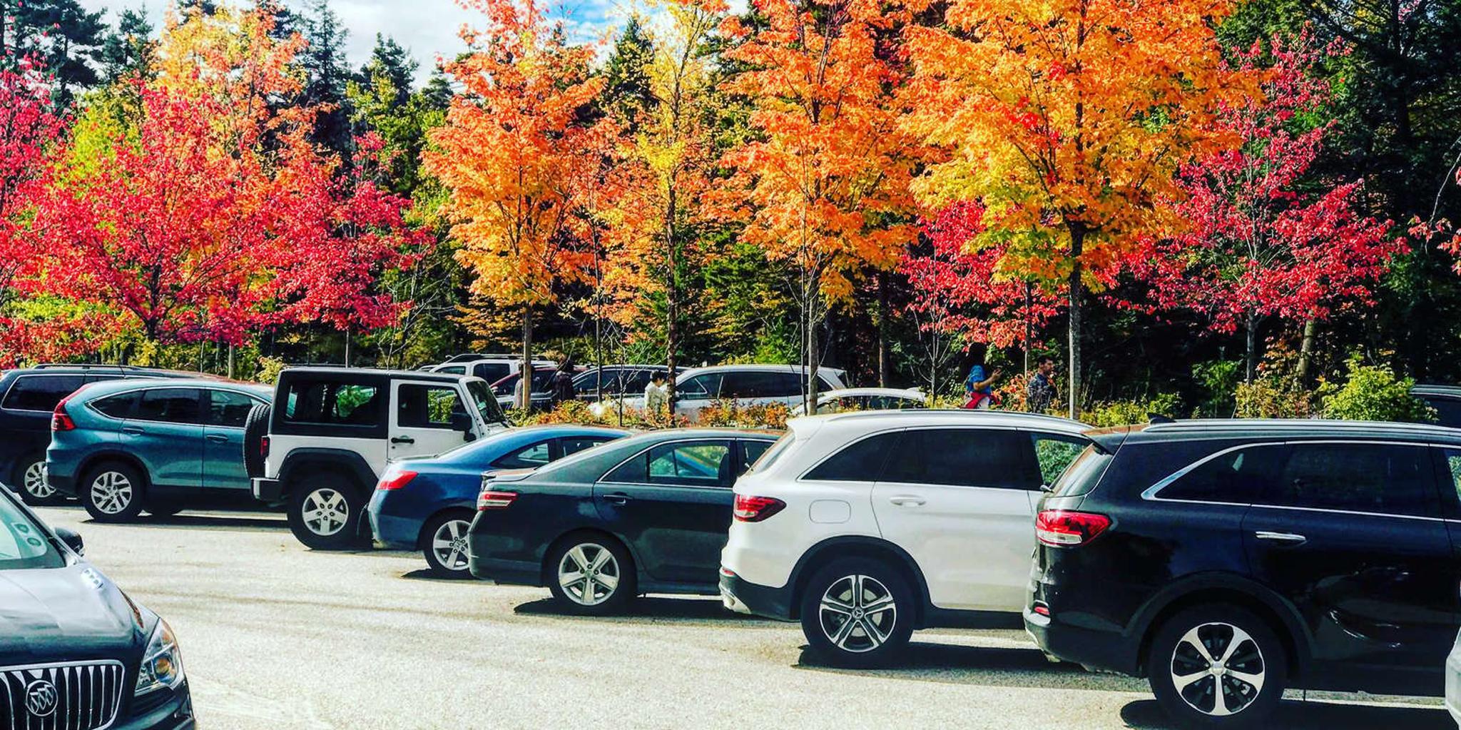 Boston Fall Foliage Tour in the White Mountains