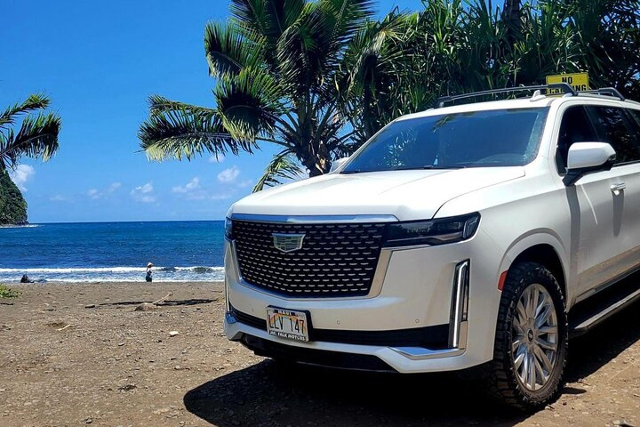 Maui Road to Hana Private Tour - Image 2