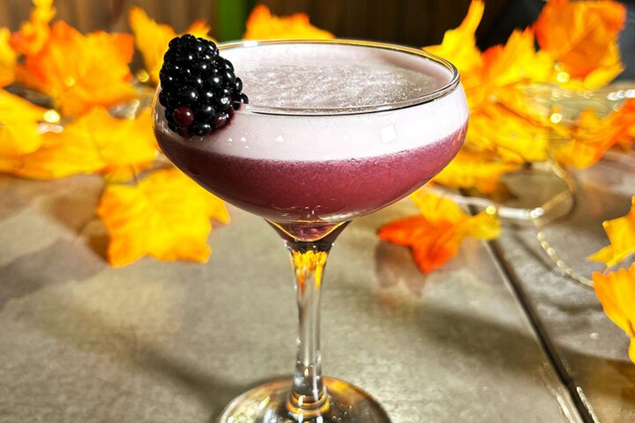 Denver Mixology Class - Image 3