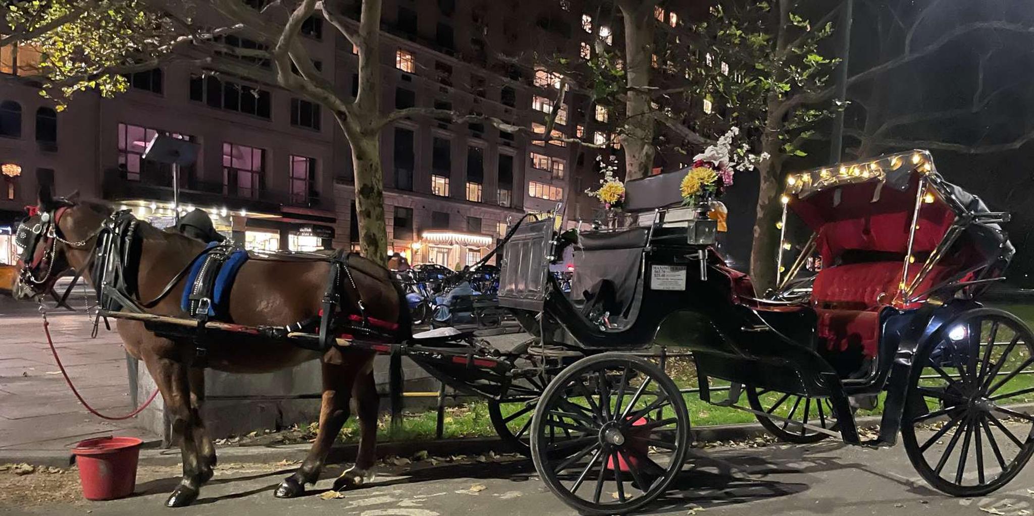 New York City Central Park Horse and Carriage Ride - Image 4