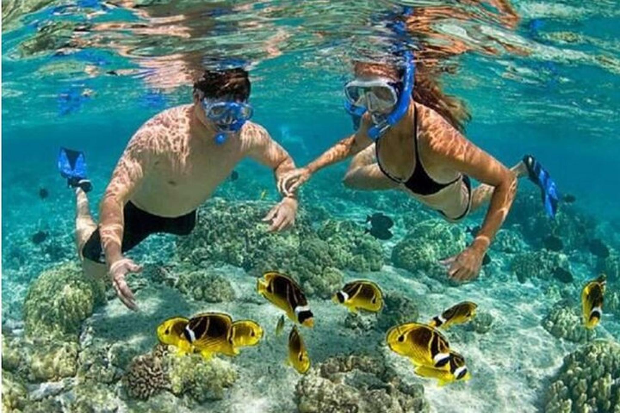 Blue Lagoon Snorkeling Tour