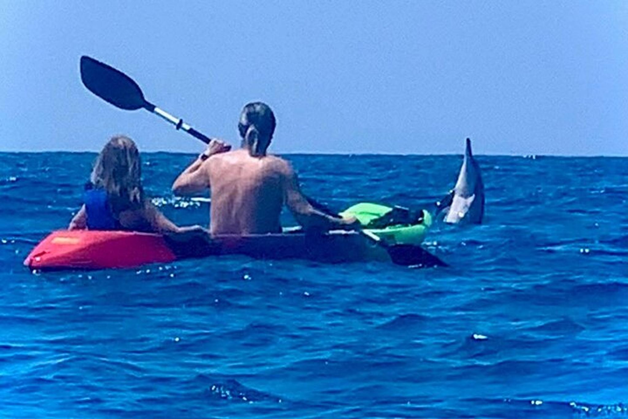Kailua-Kona Clear Bottom Kayak Rental - Image 2