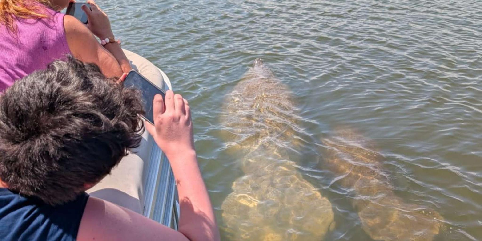 Cocoa Beach Dolphin and Manatee Eco Boat Tour - Image 2