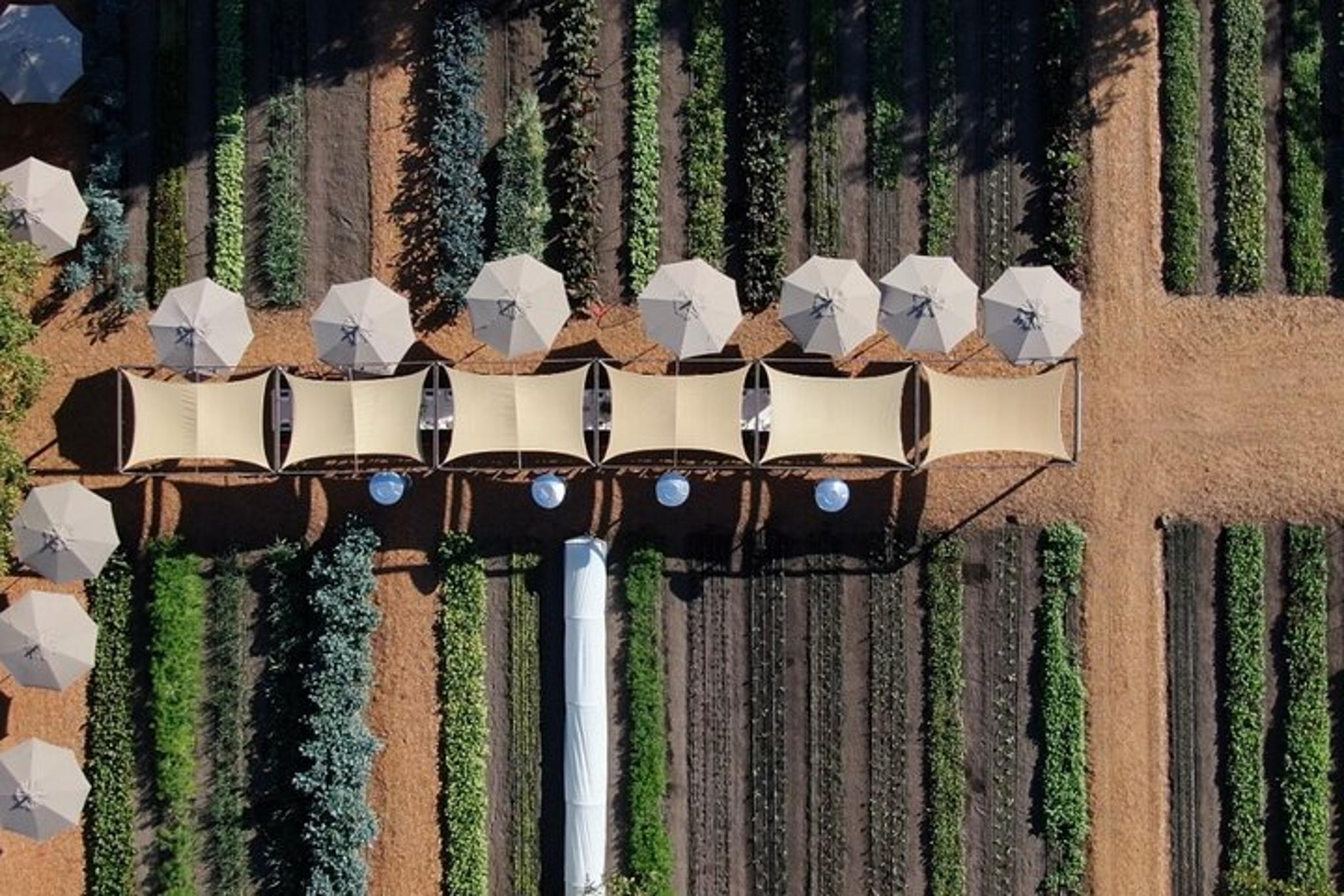 Sonoma Wine Tour for 4 Guests - Image 6
