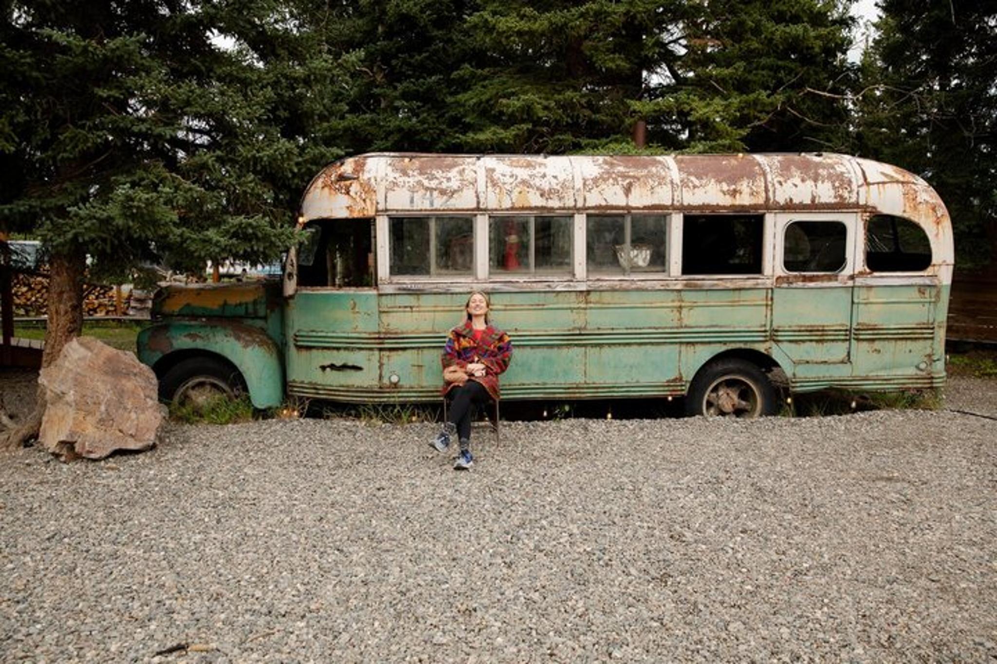 Denali Husky Sled Dog Experience and Brewery Visit - Image 3