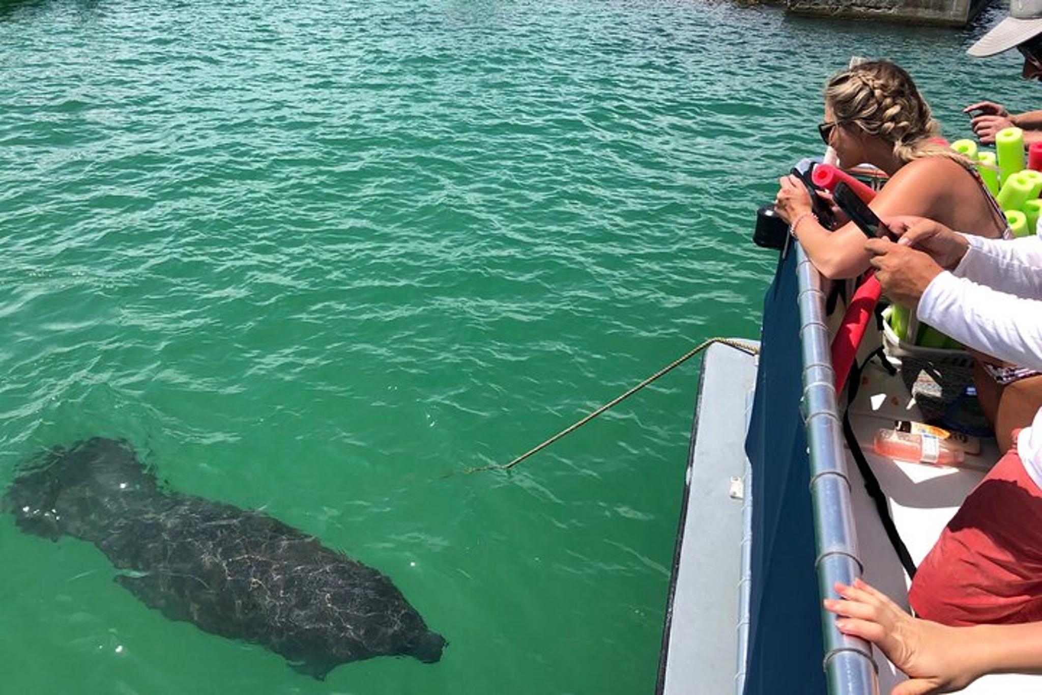 Egmont Key Island Tour with Dolphins & Snorkeling - Image 6