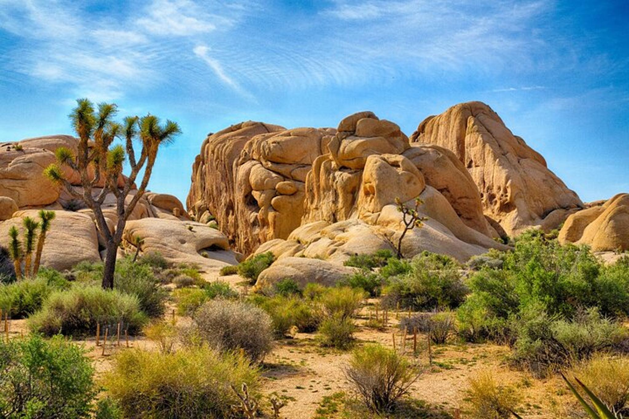 Joshua Tree Hidden Valley Self-Guided Walking Tour - Image 2