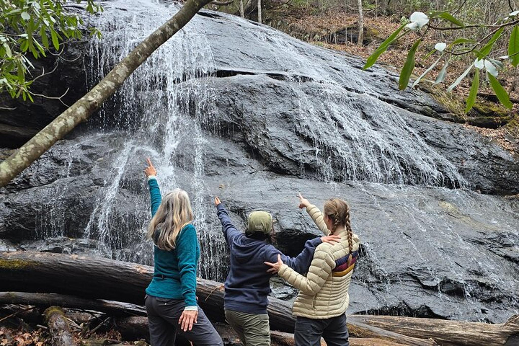 Asheville Pisgah Waterfall Tour - Image 3