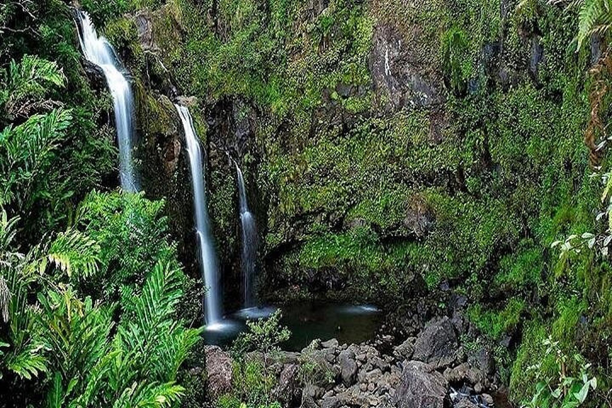 Maui Road to Hana Rainforest and Waterfall Tour - Image 6
