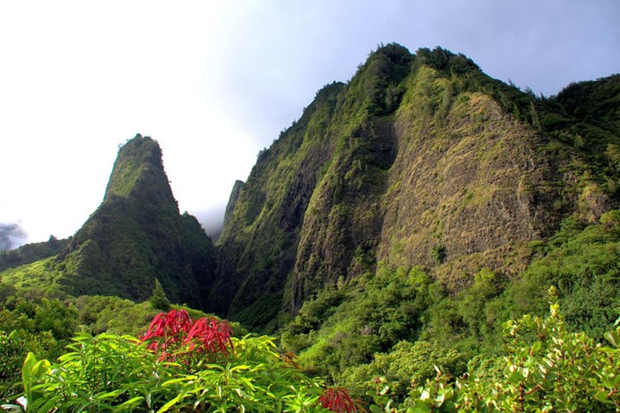 Maui Shore Excursion Highlights - Image 4