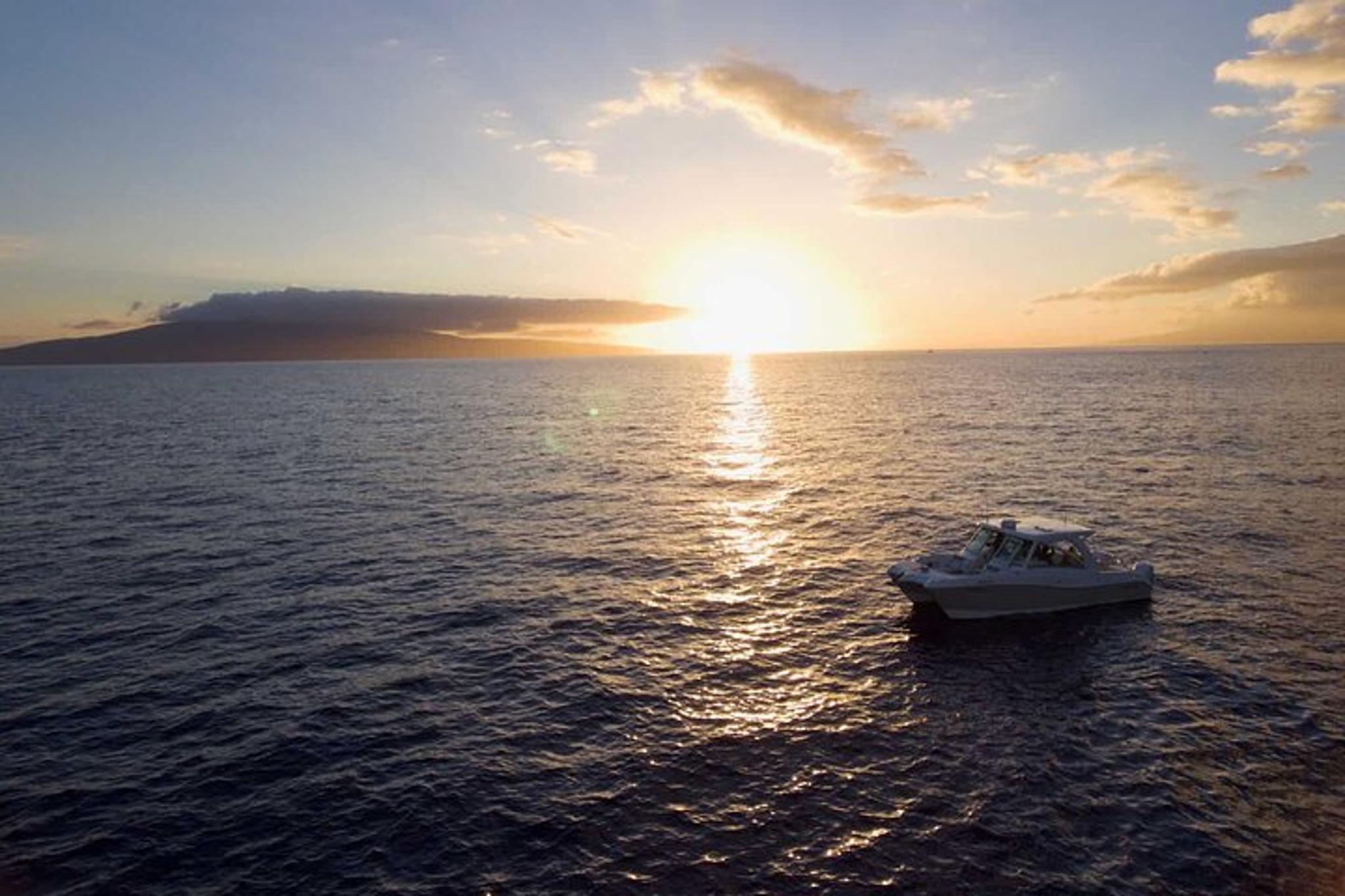 Maui Private Charter Aboard Phoenix II - Image 5