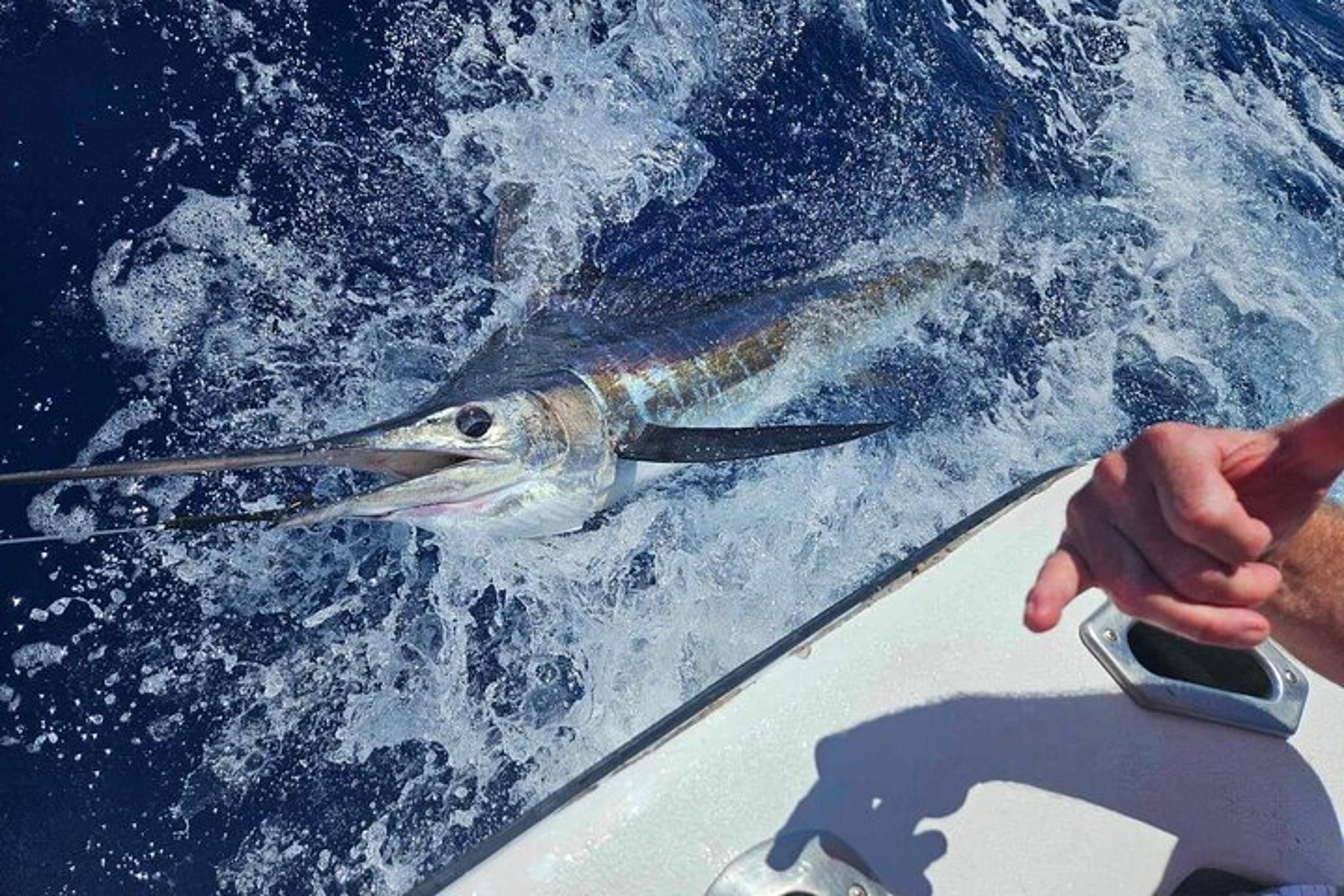 Kona Private Fishing Charter - Image 2