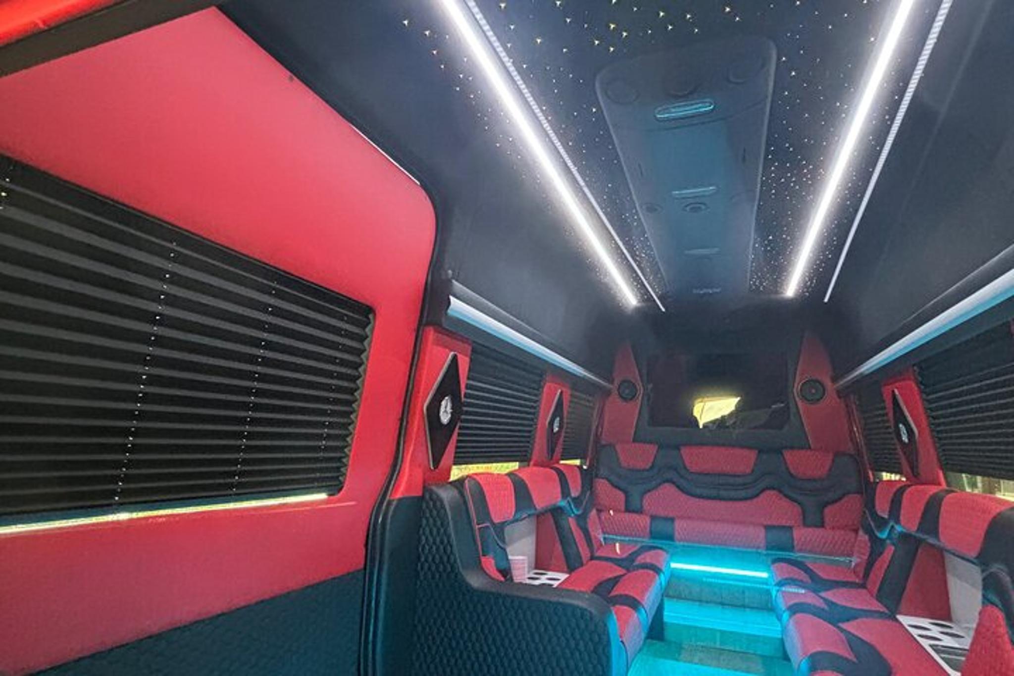 New York Taxi and Limousine Experience - Image 5