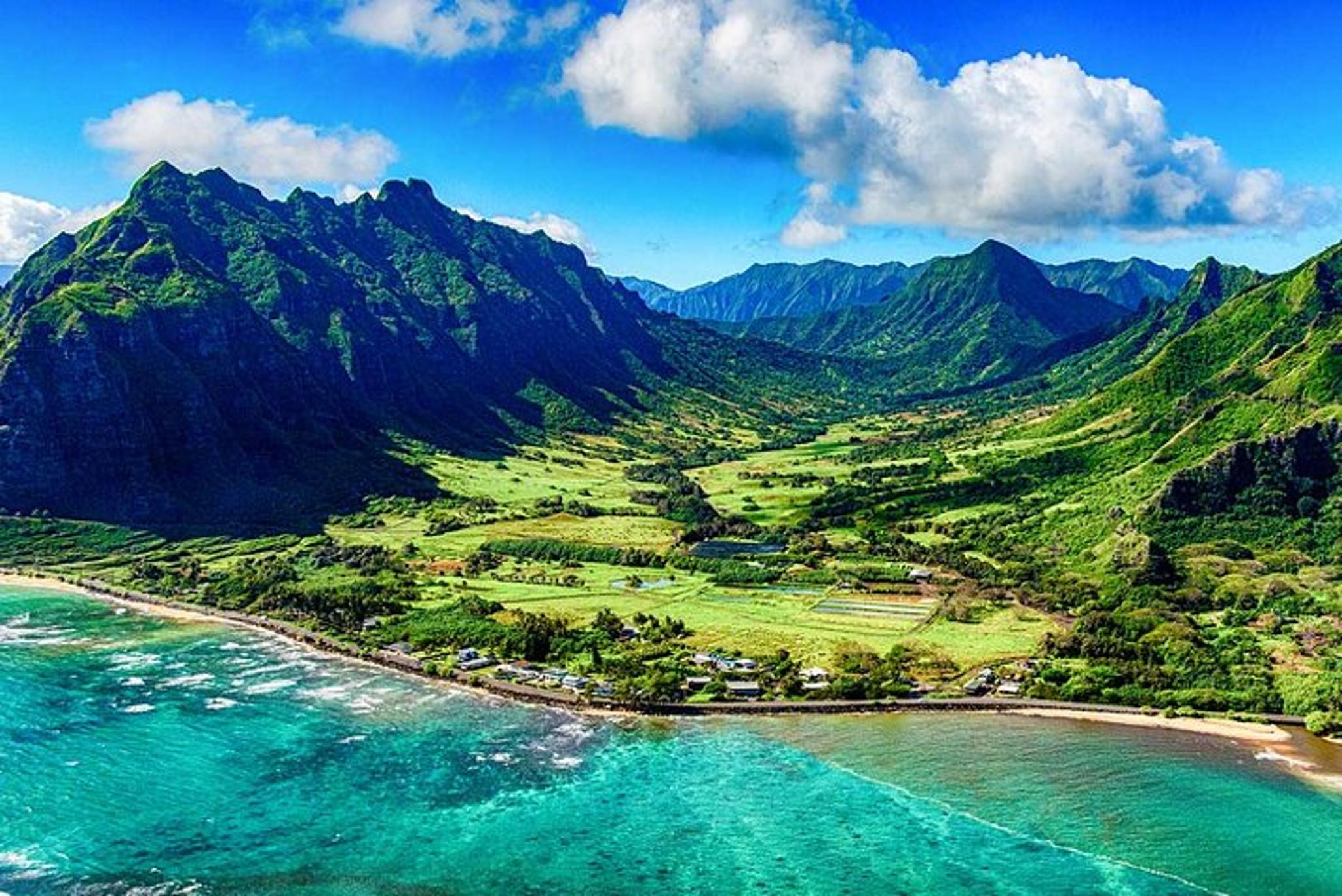 Honolulu Lei Greeting on Arrival - Image 5