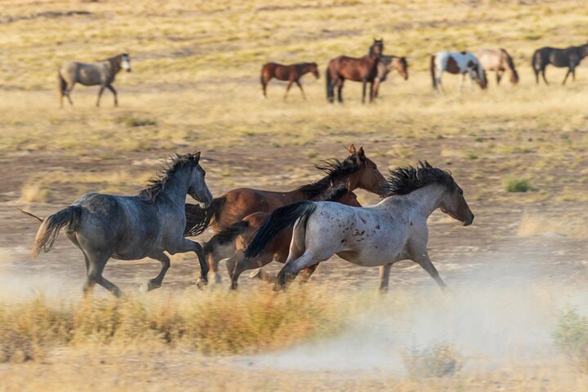 Antelope Canyon X and Horseshoe Bend Private Tour - Image 3