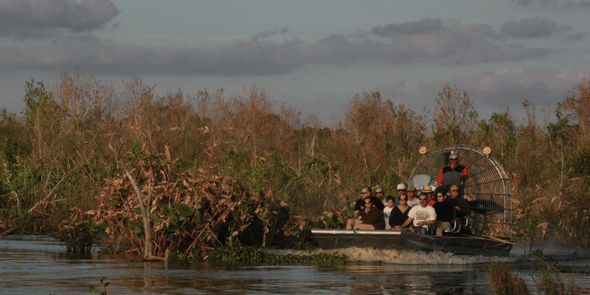 Everglades Day Safari from Fort Myers - Image 6