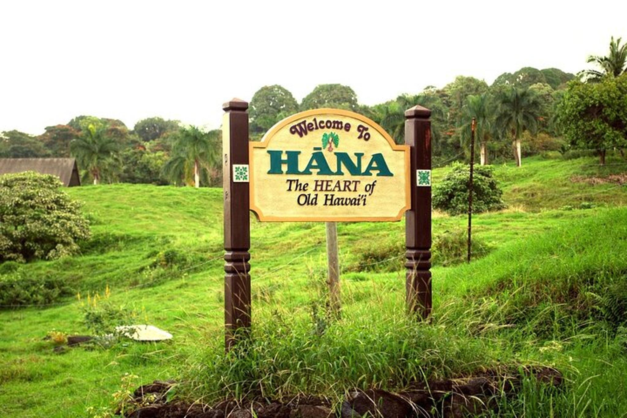 Maui Road to Hana Tour with Scenic Stops - Image 1