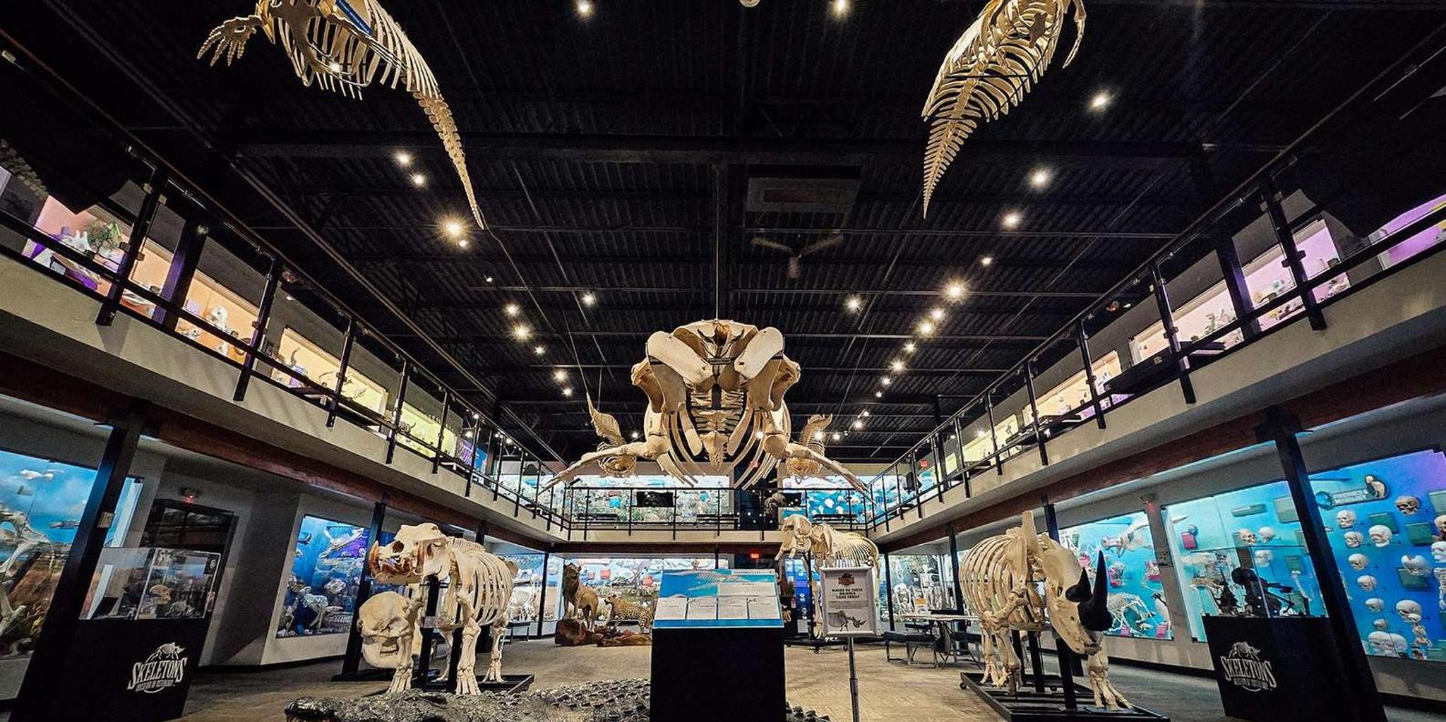 Oklahoma City Museum of Osteology Ticket - Image 5