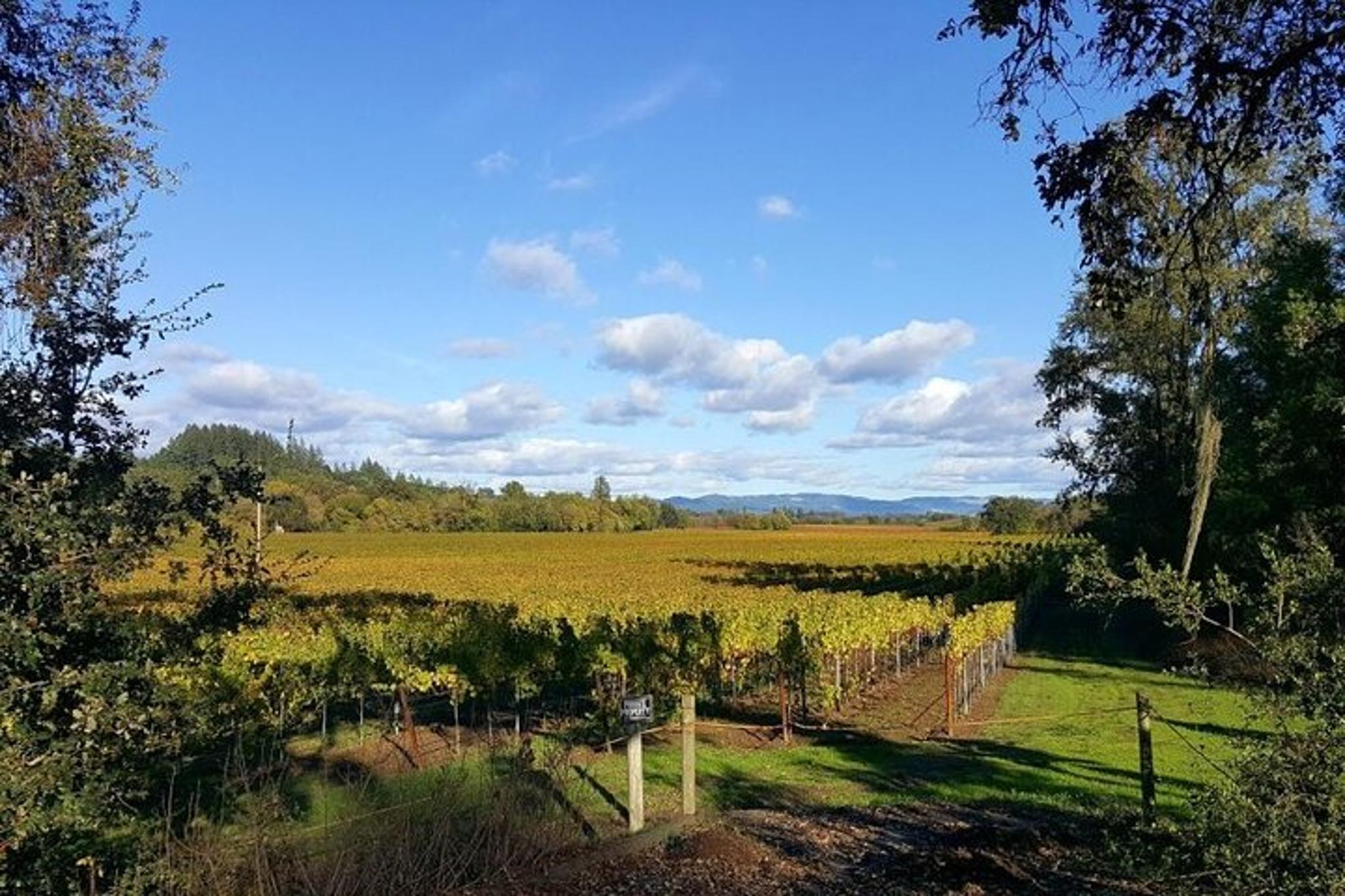 San Francisco Vineyards, Waves and Wine Tour 5 Days - Image 6