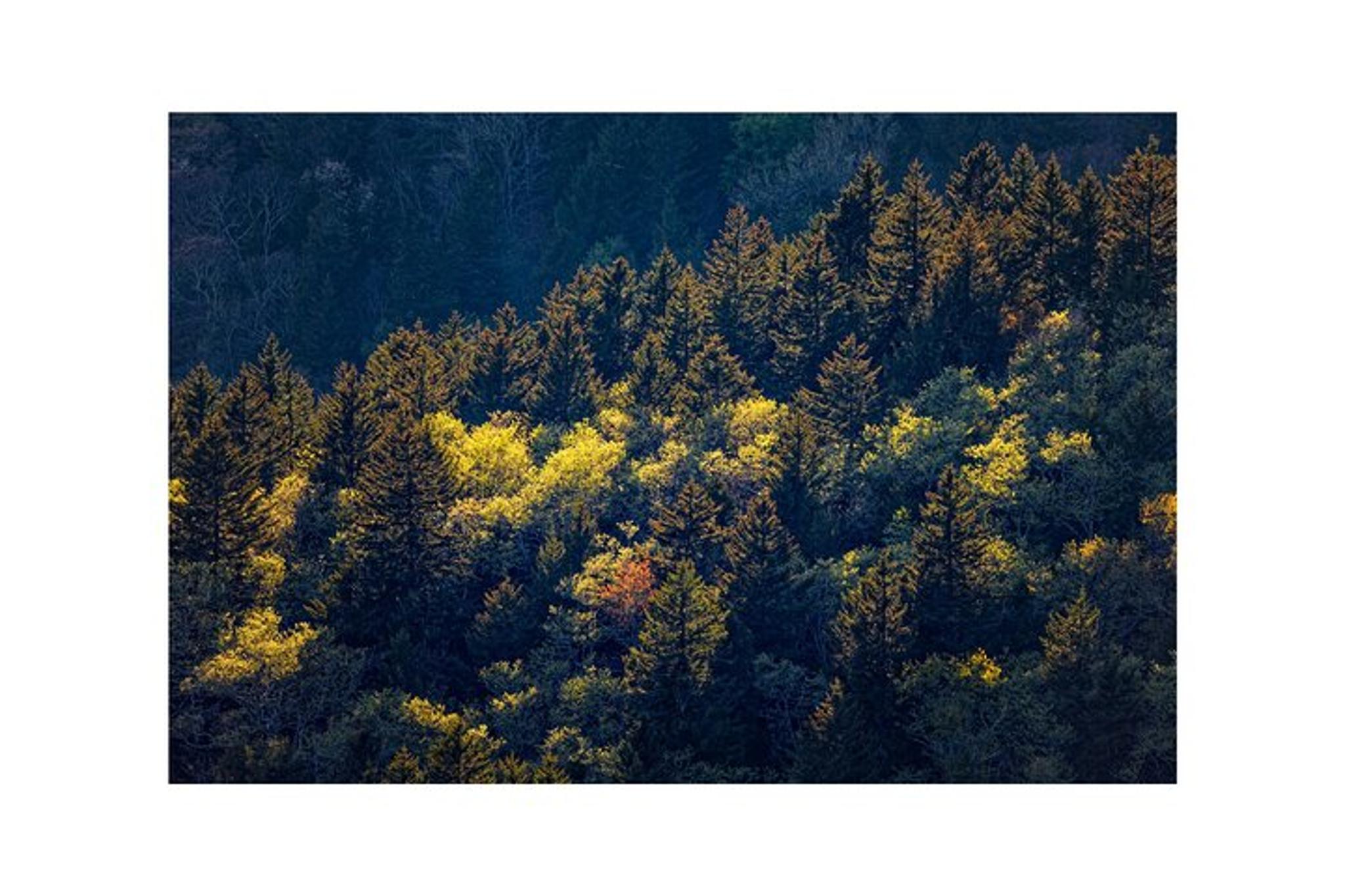 Roanoke to Afton Self-Guided Audio Tour - Image 5