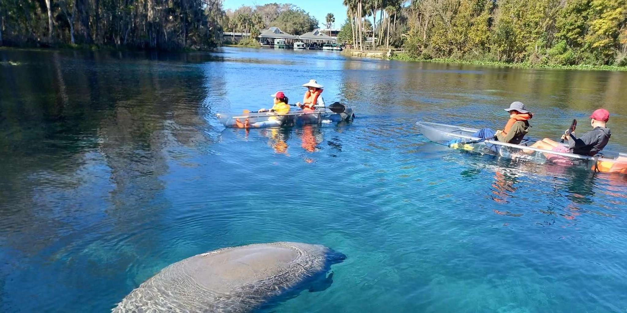 Silver Springs Manatees and Monkeys Kayak Tour - Image 2
