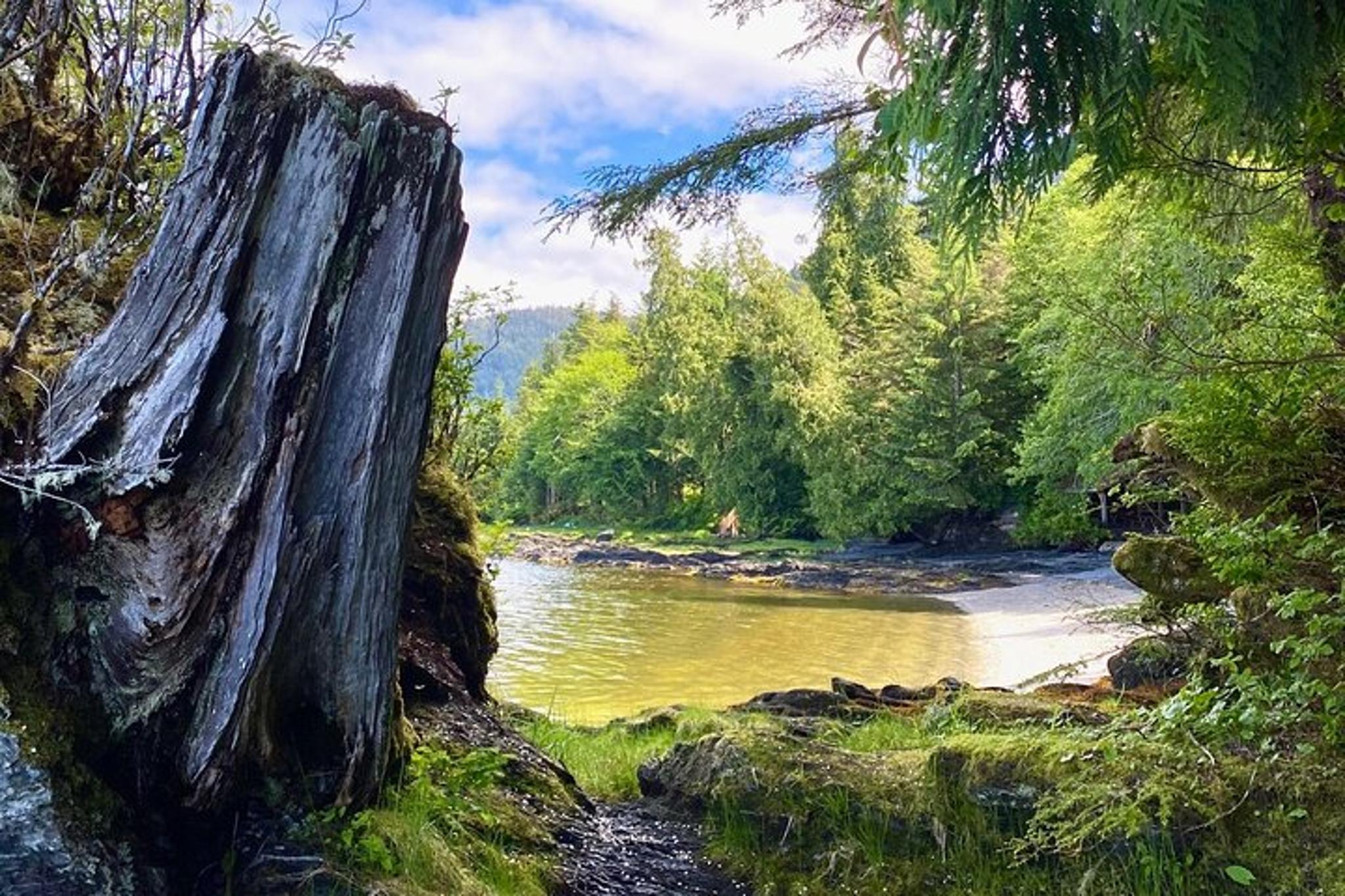 Ketchikan Rainforest, Beach & Wildlife Walk 3 hr